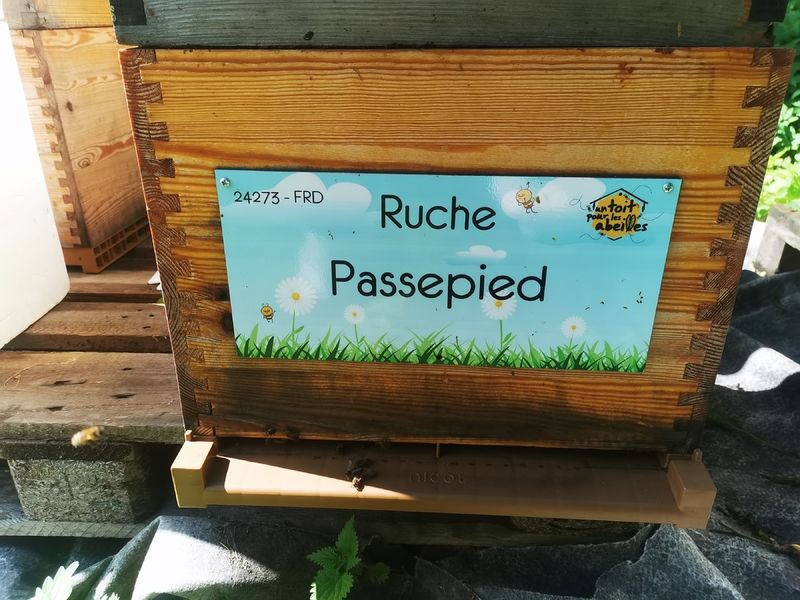 La ruche Passepied