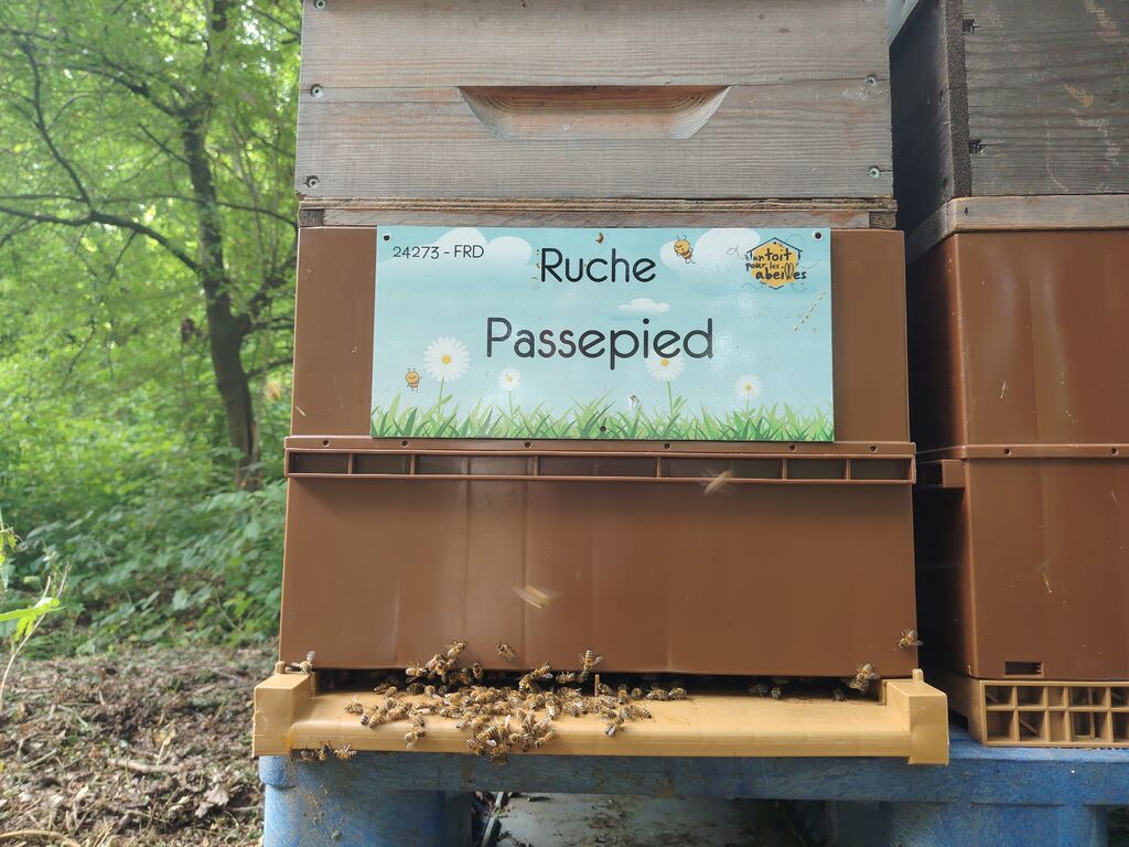 La ruche Passepied