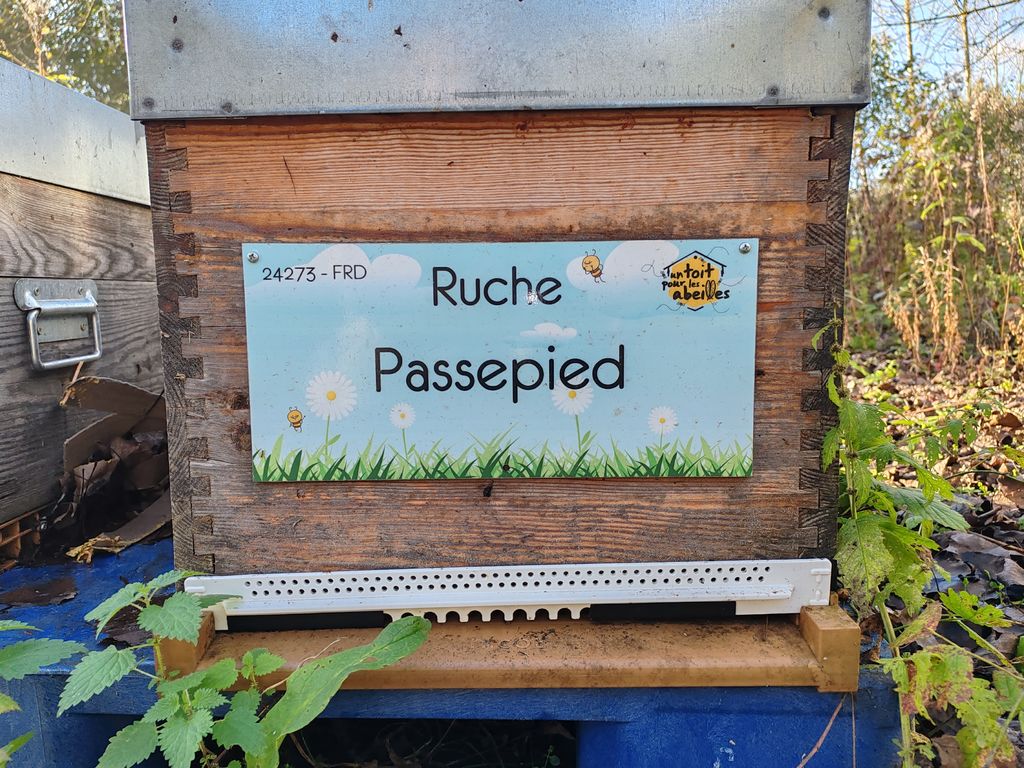 La ruche Passepied