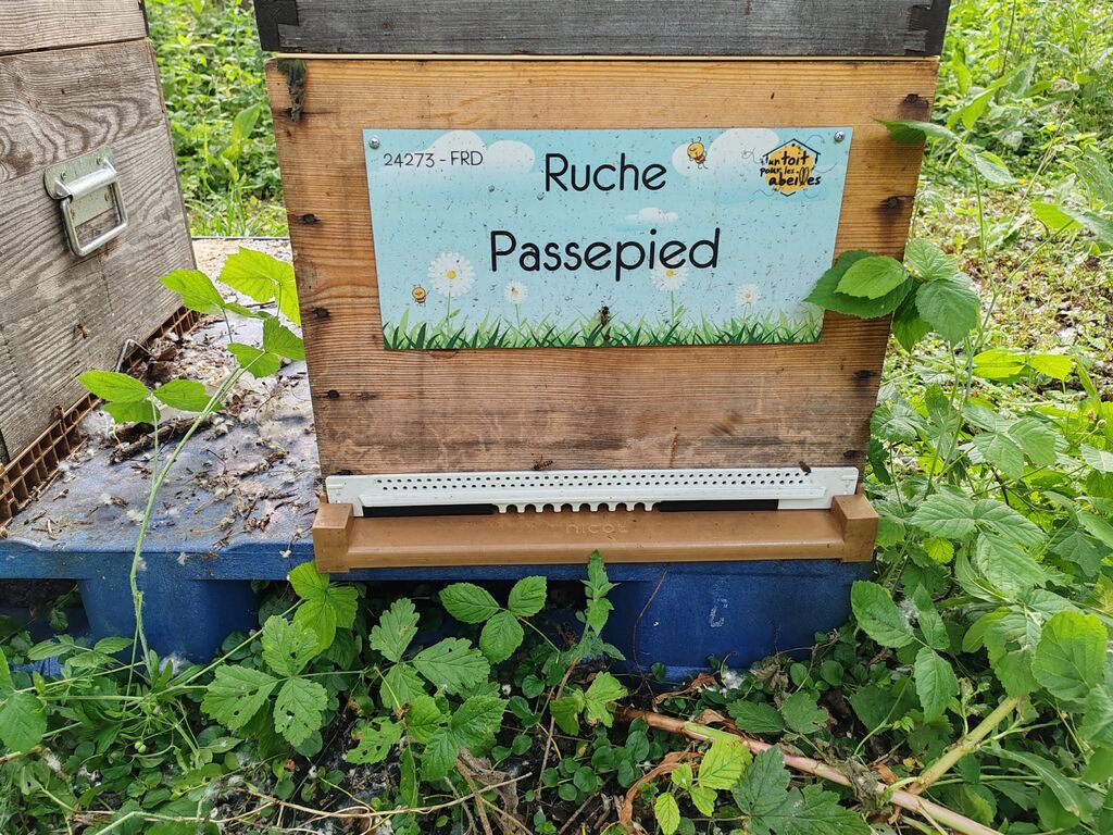 La ruche Passepied