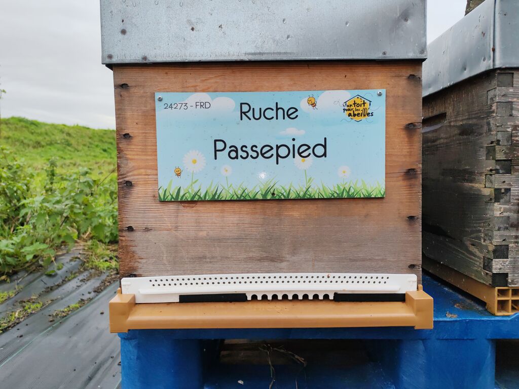 La ruche Passepied
