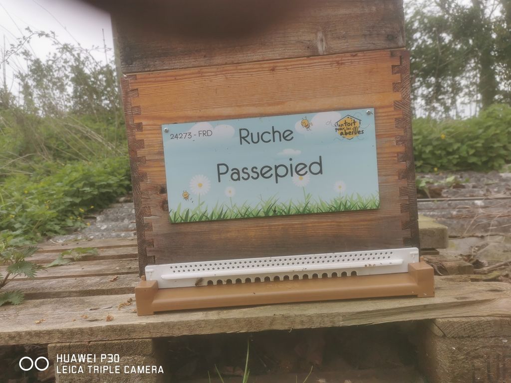 La ruche Passepied