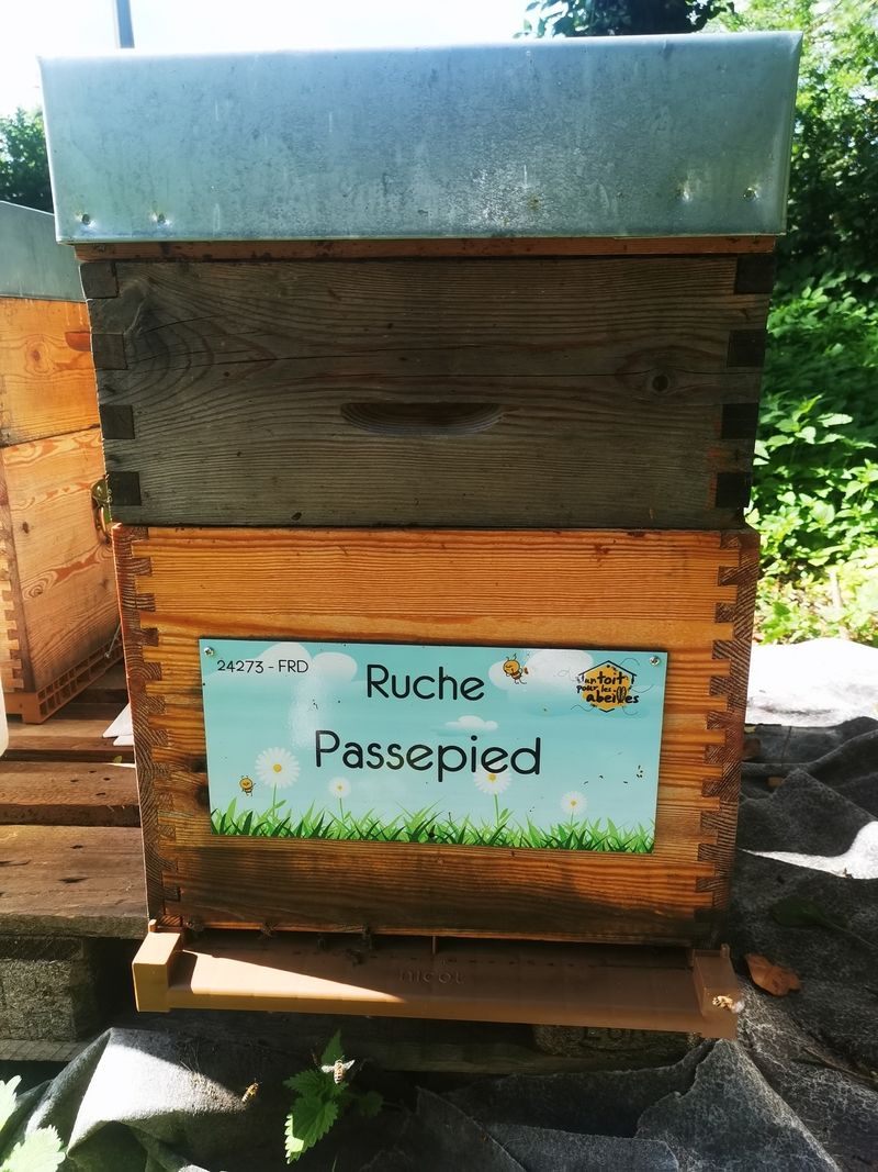 La ruche Passepied