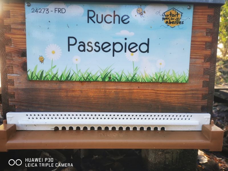 La ruche Passepied