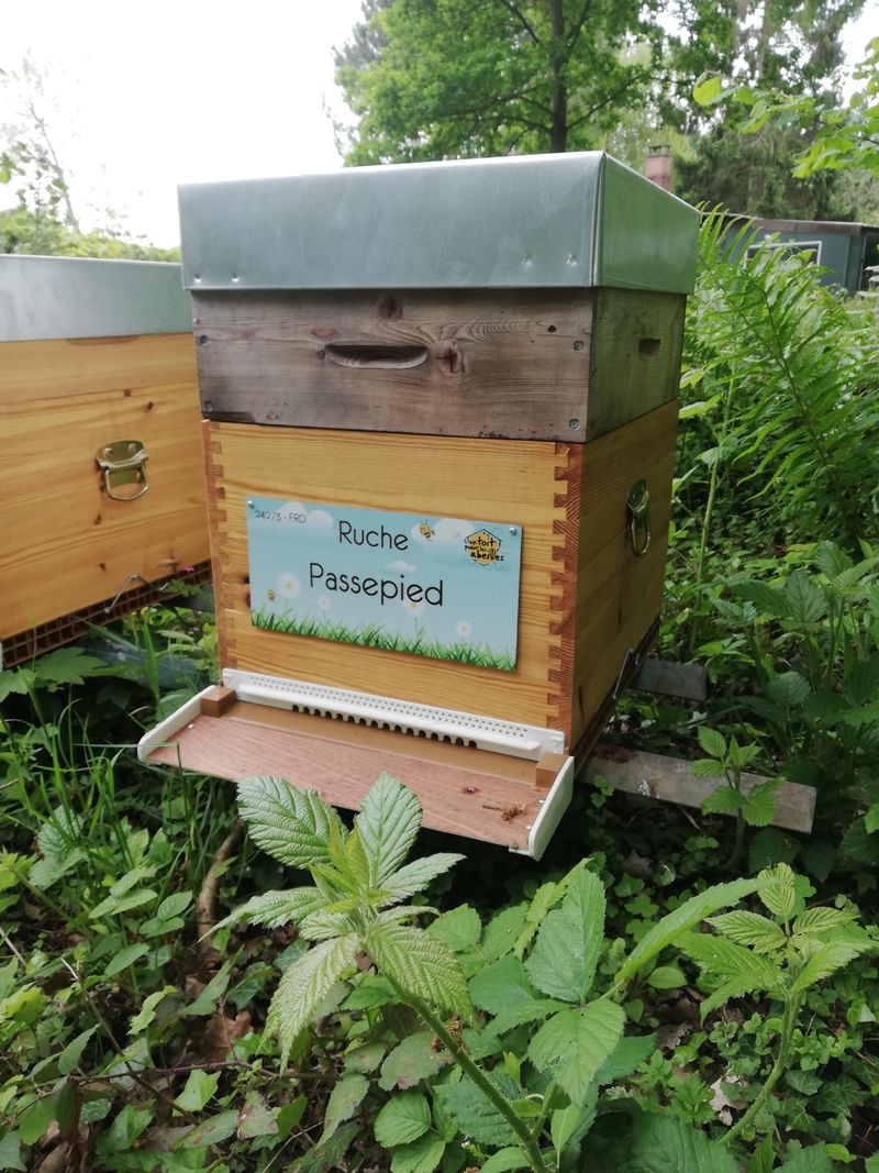 La ruche Passepied