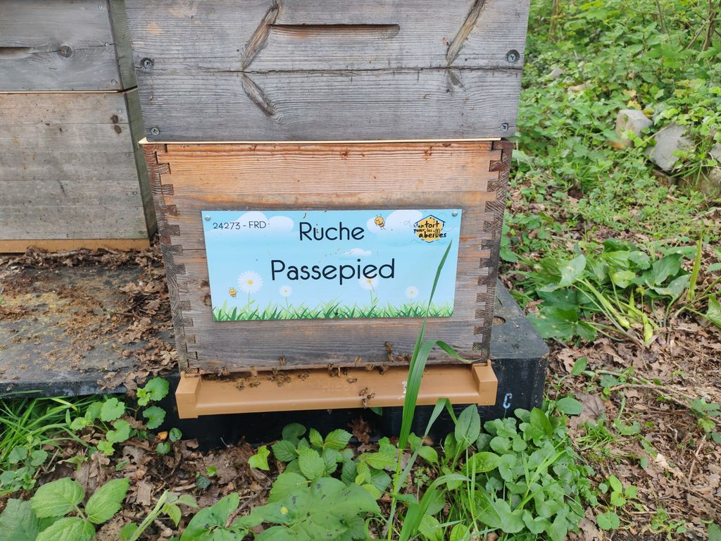 La ruche Passepied