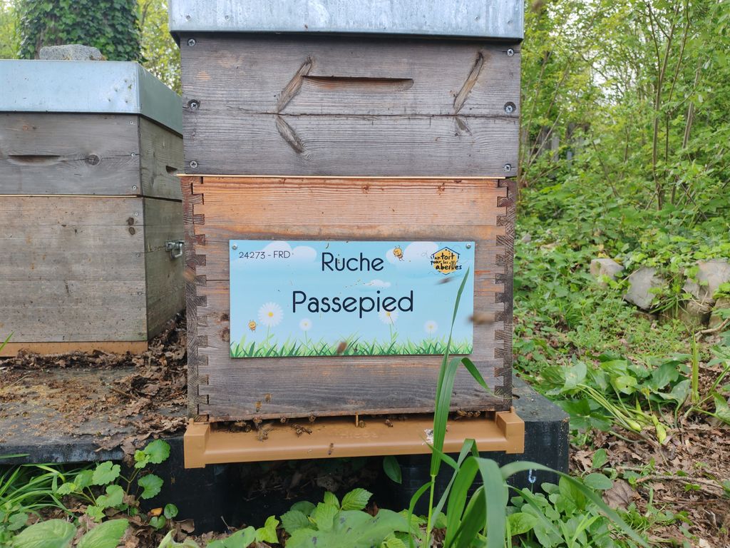 La ruche Passepied