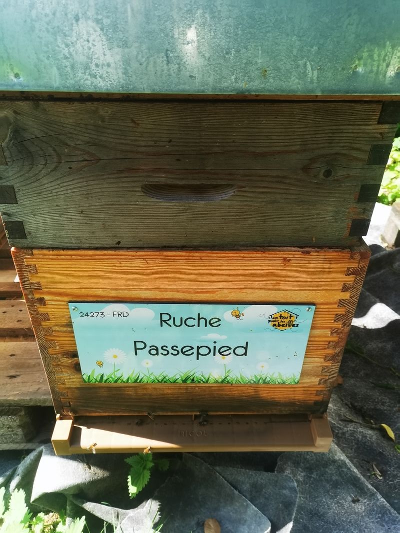 La ruche Passepied