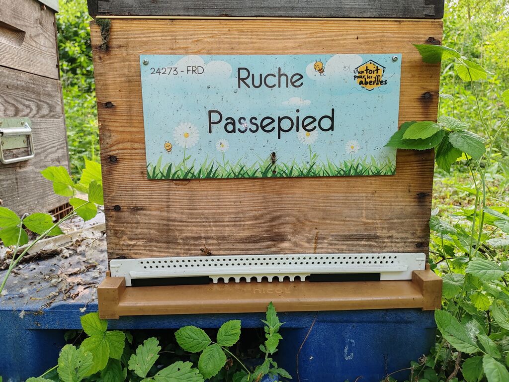 La ruche Passepied