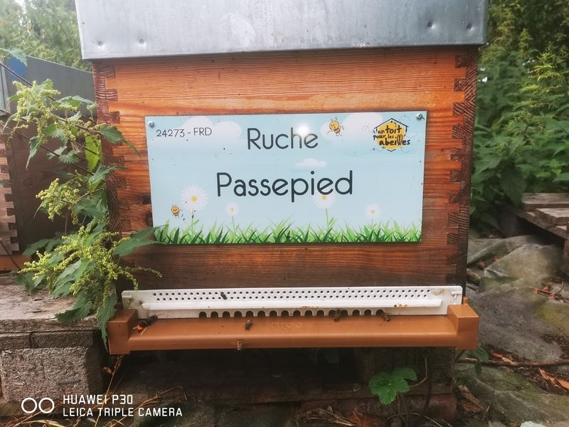 La ruche Passepied