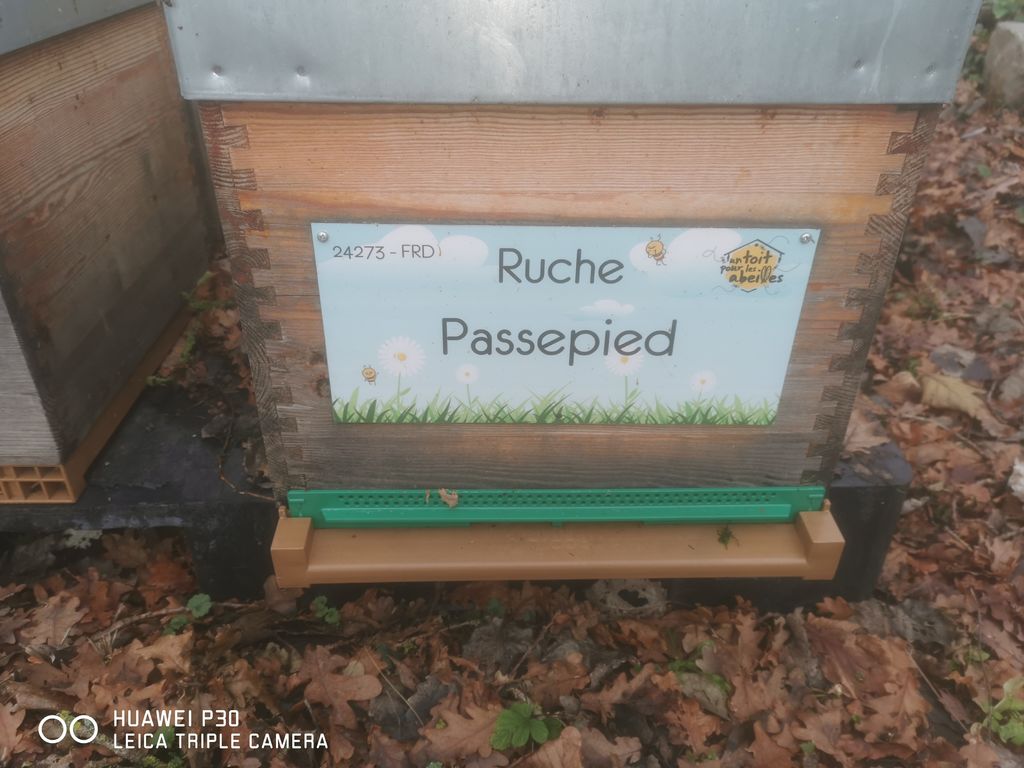 La ruche Passepied