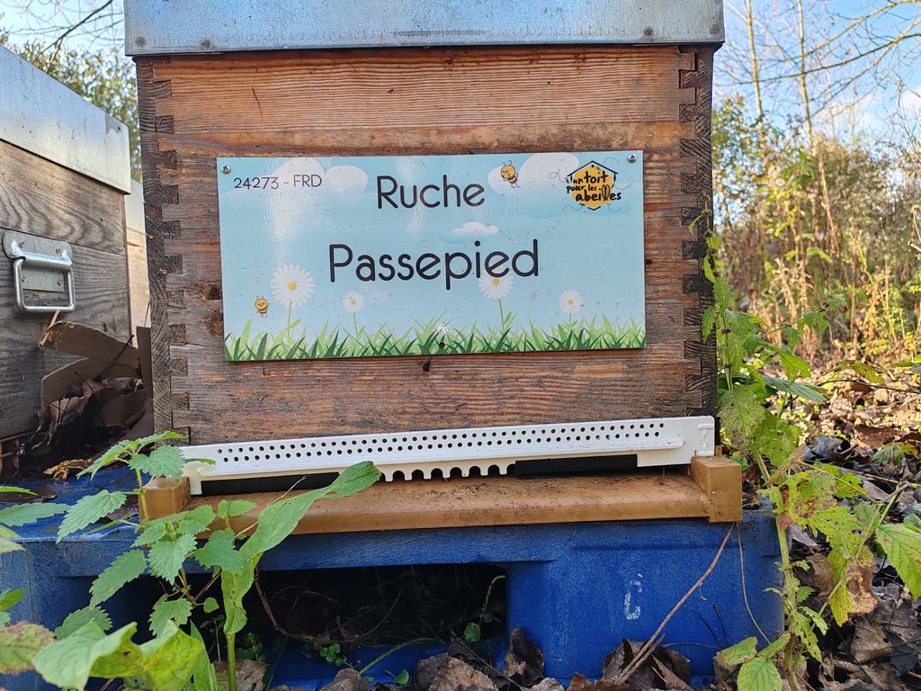 La ruche Passepied