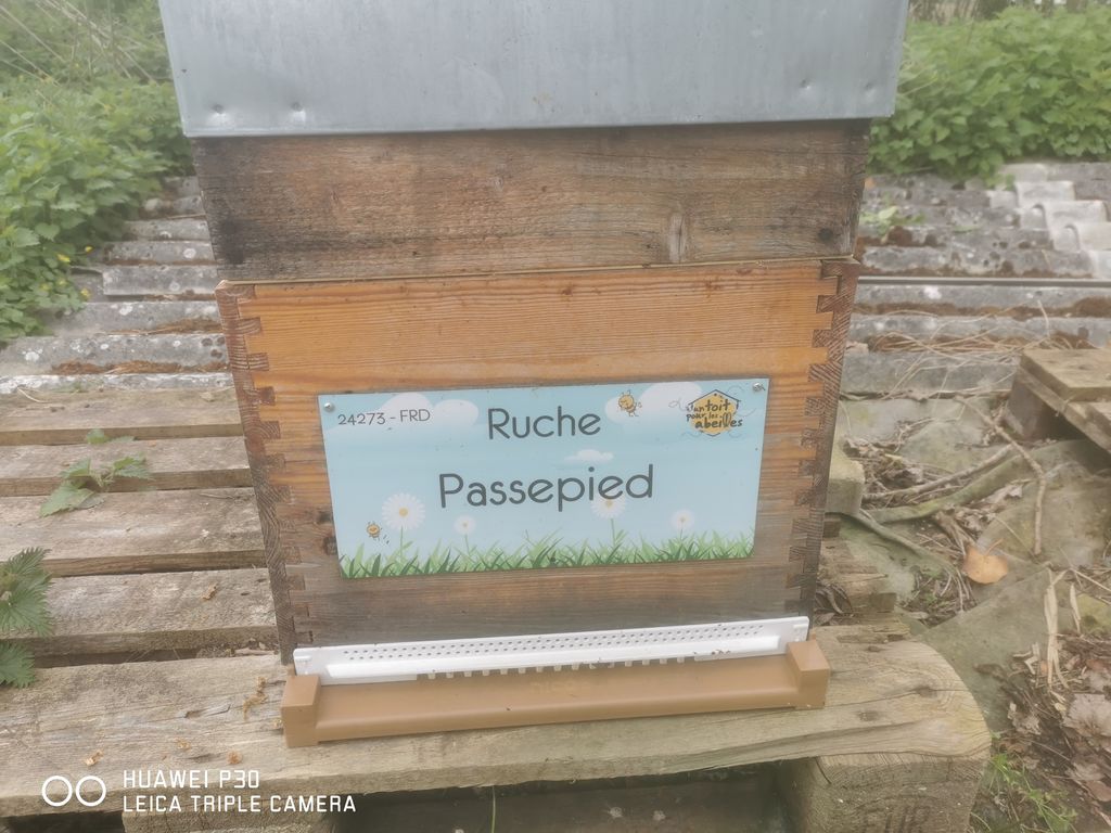 La ruche Passepied