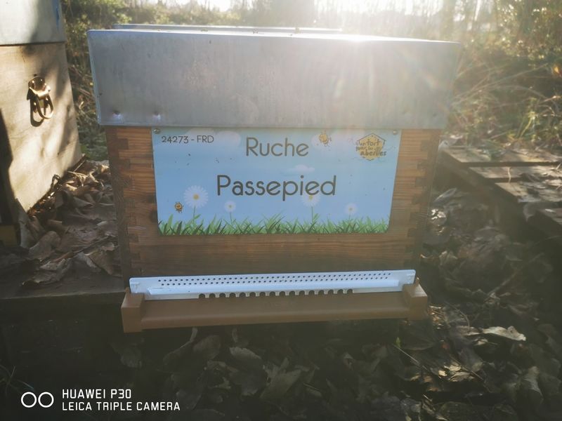 La ruche Passepied