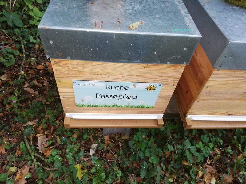 La ruche Passepied