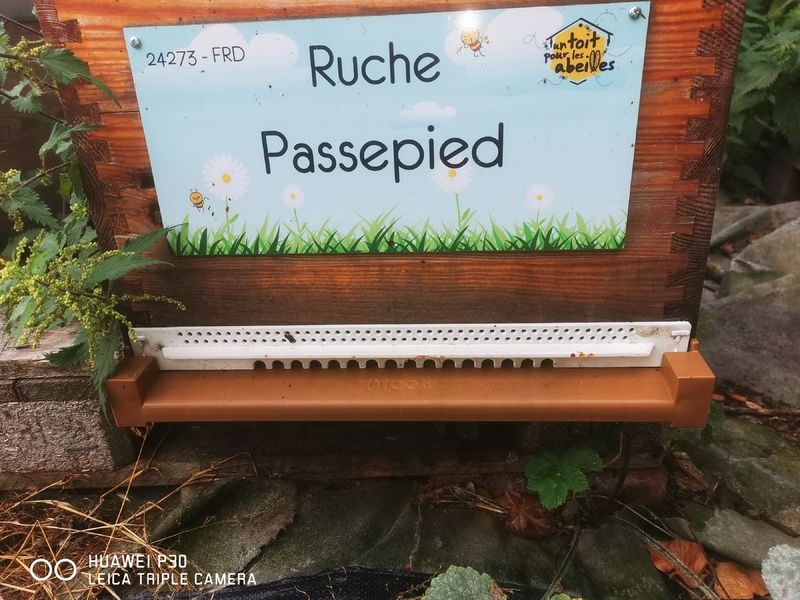 La ruche Passepied