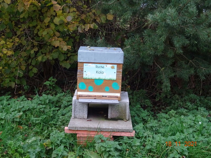 La ruche Kolo