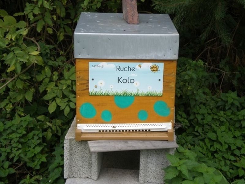La ruche Kolo
