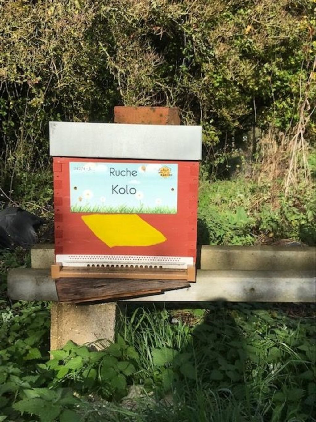 La ruche Kolo