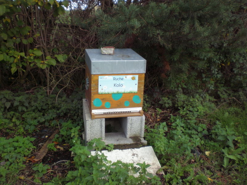 La ruche Kolo