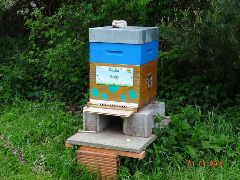 La ruche Kolo
