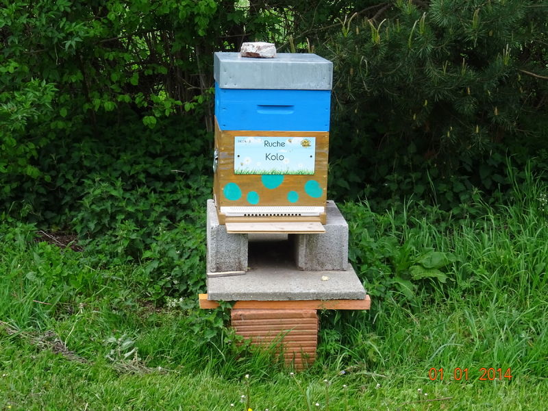 La ruche Kolo