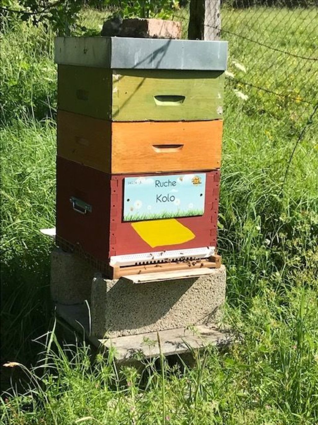 La ruche Kolo