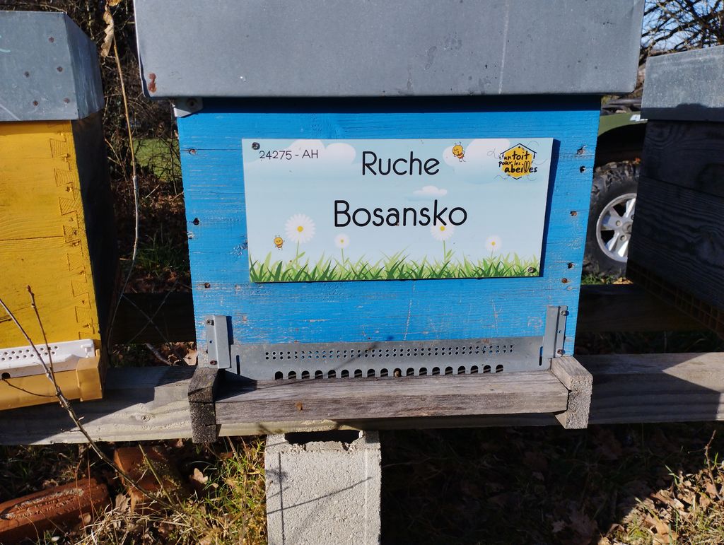 La ruche Bosansko