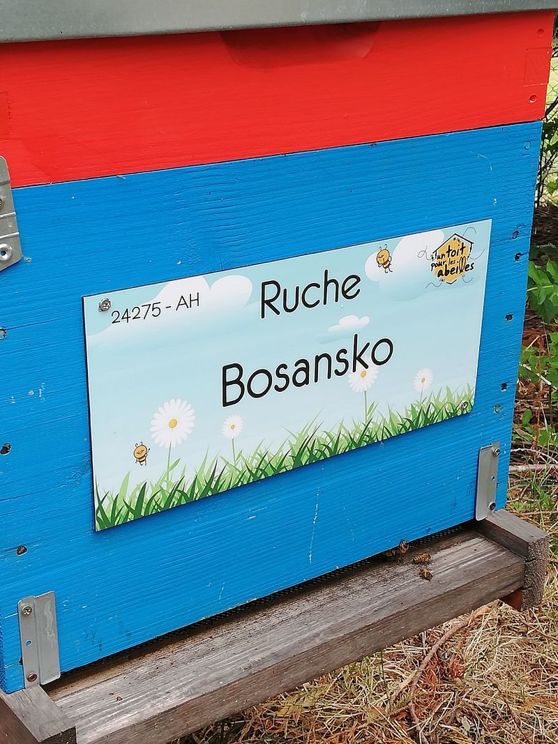 La ruche Bosansko