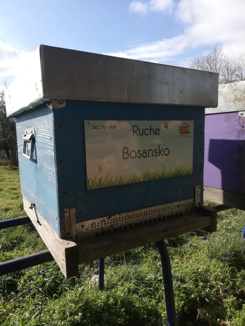 La ruche Bosansko