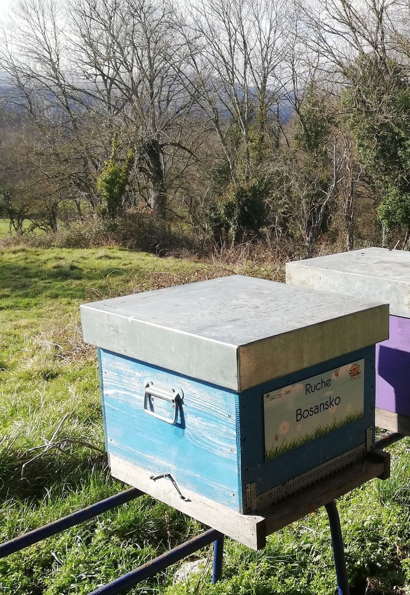 La ruche Bosansko