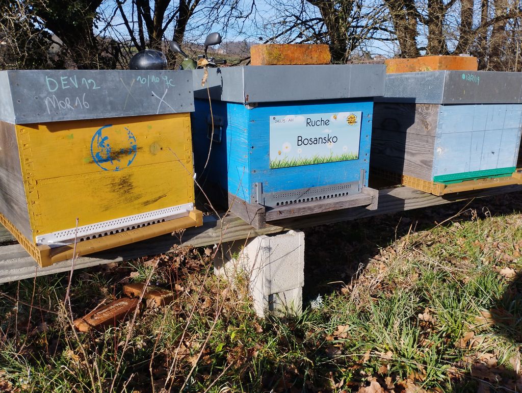 La ruche Bosansko