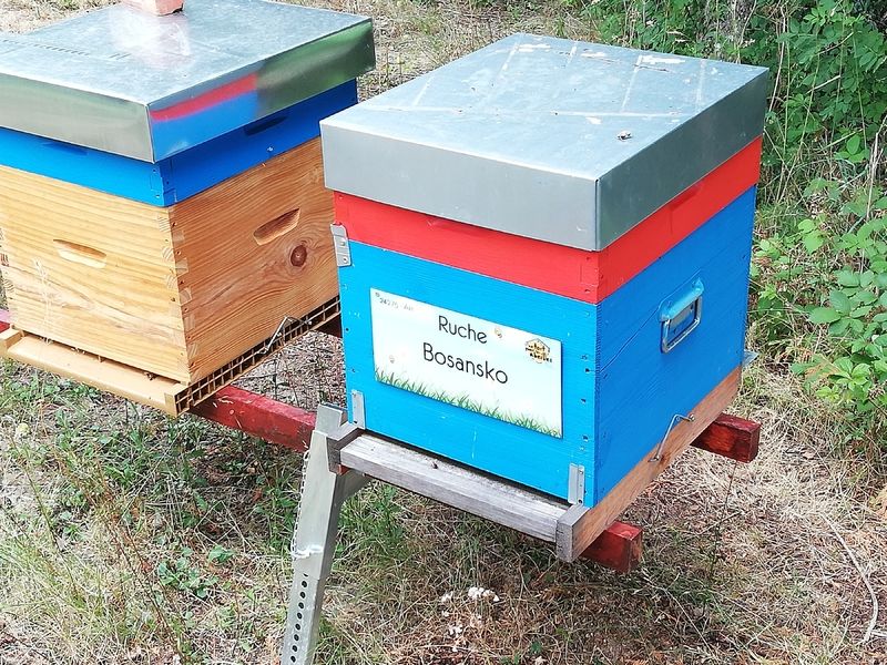 La ruche Bosansko