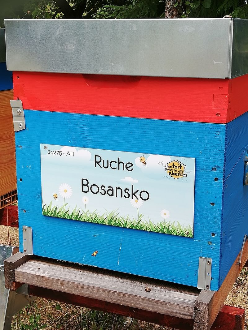 La ruche Bosansko