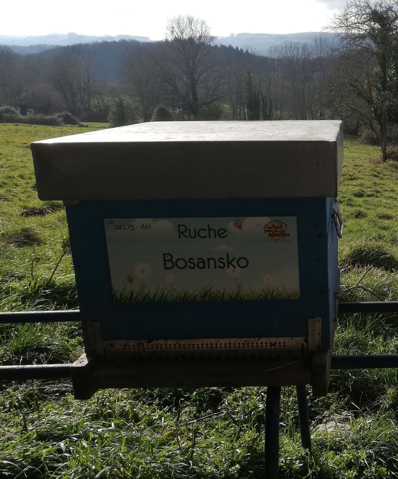 La ruche Bosansko