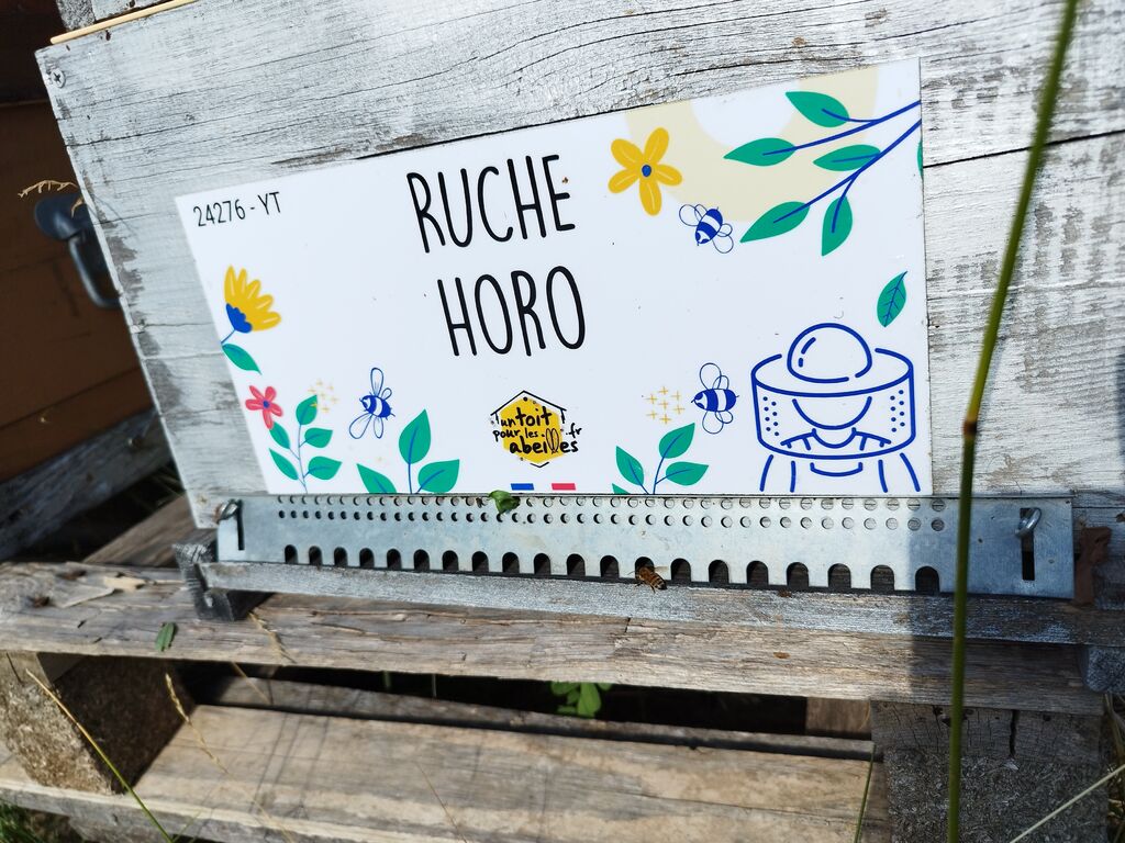 La ruche Horo
