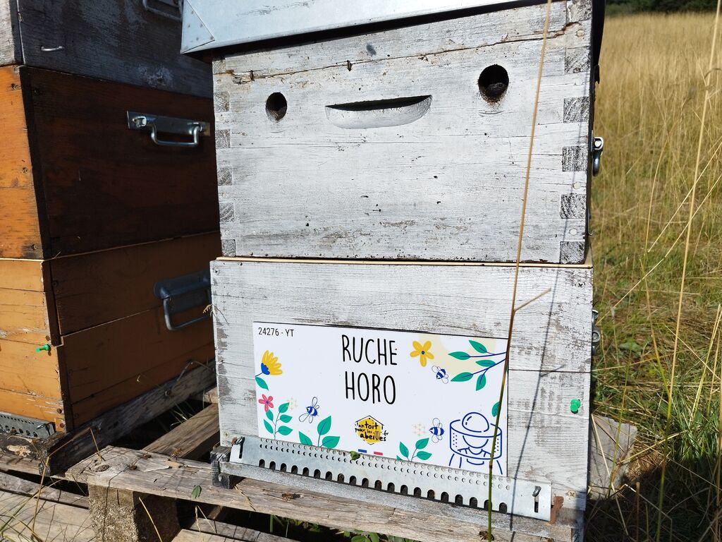 La ruche Horo