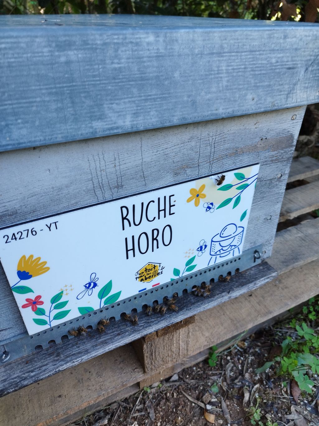 La ruche Horo