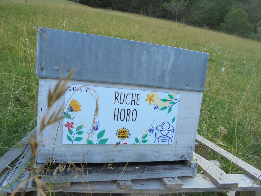 La ruche