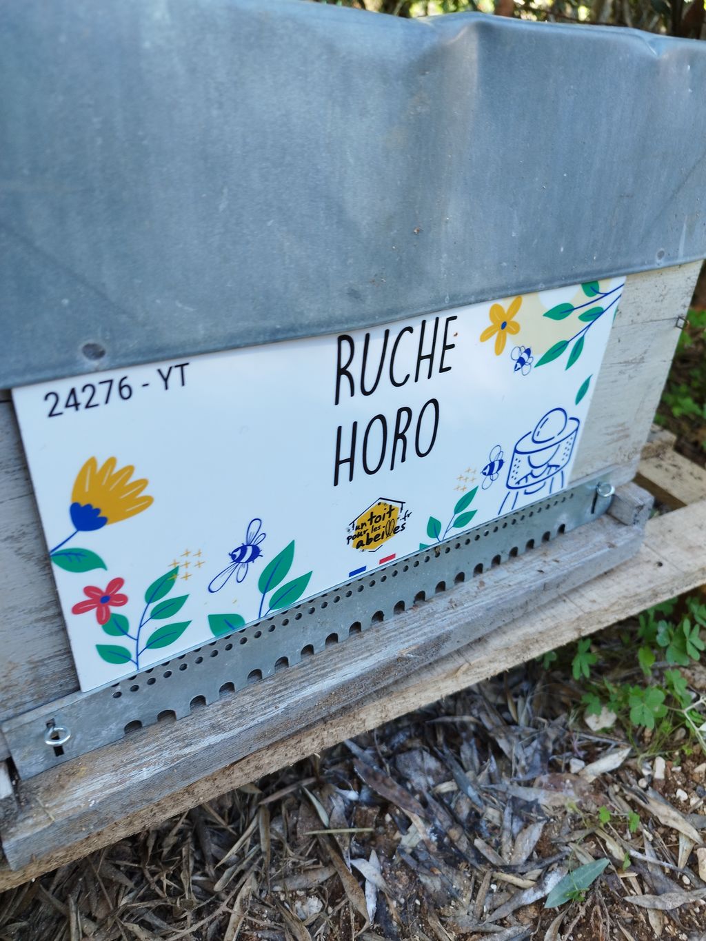 La ruche Horo