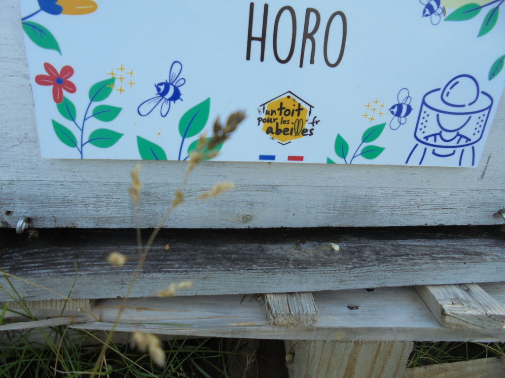 La ruche Horo