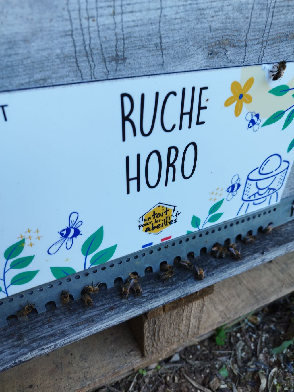 La ruche Horo