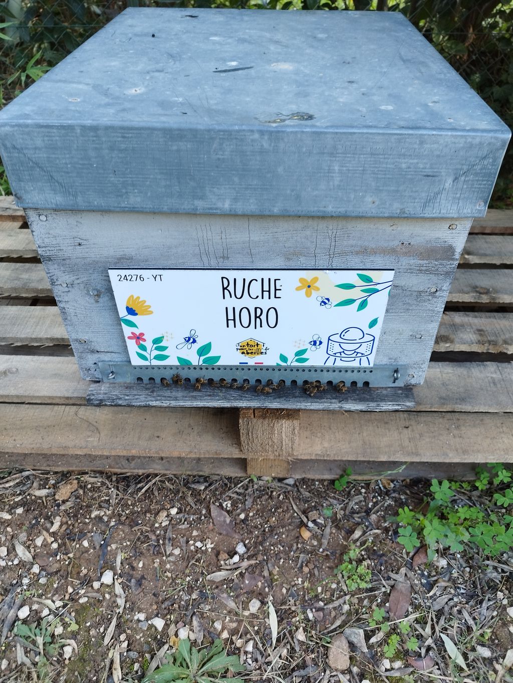 La ruche Horo