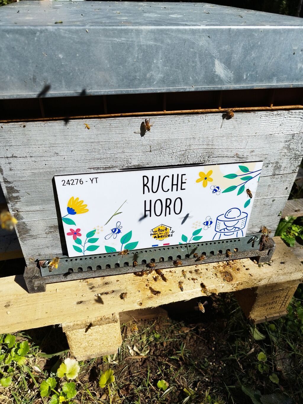 La ruche Horo