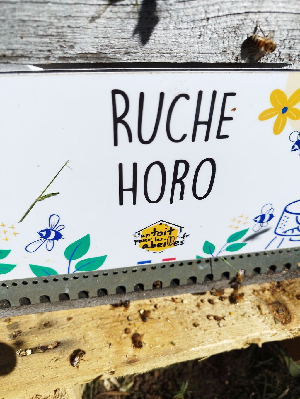 La ruche Horo