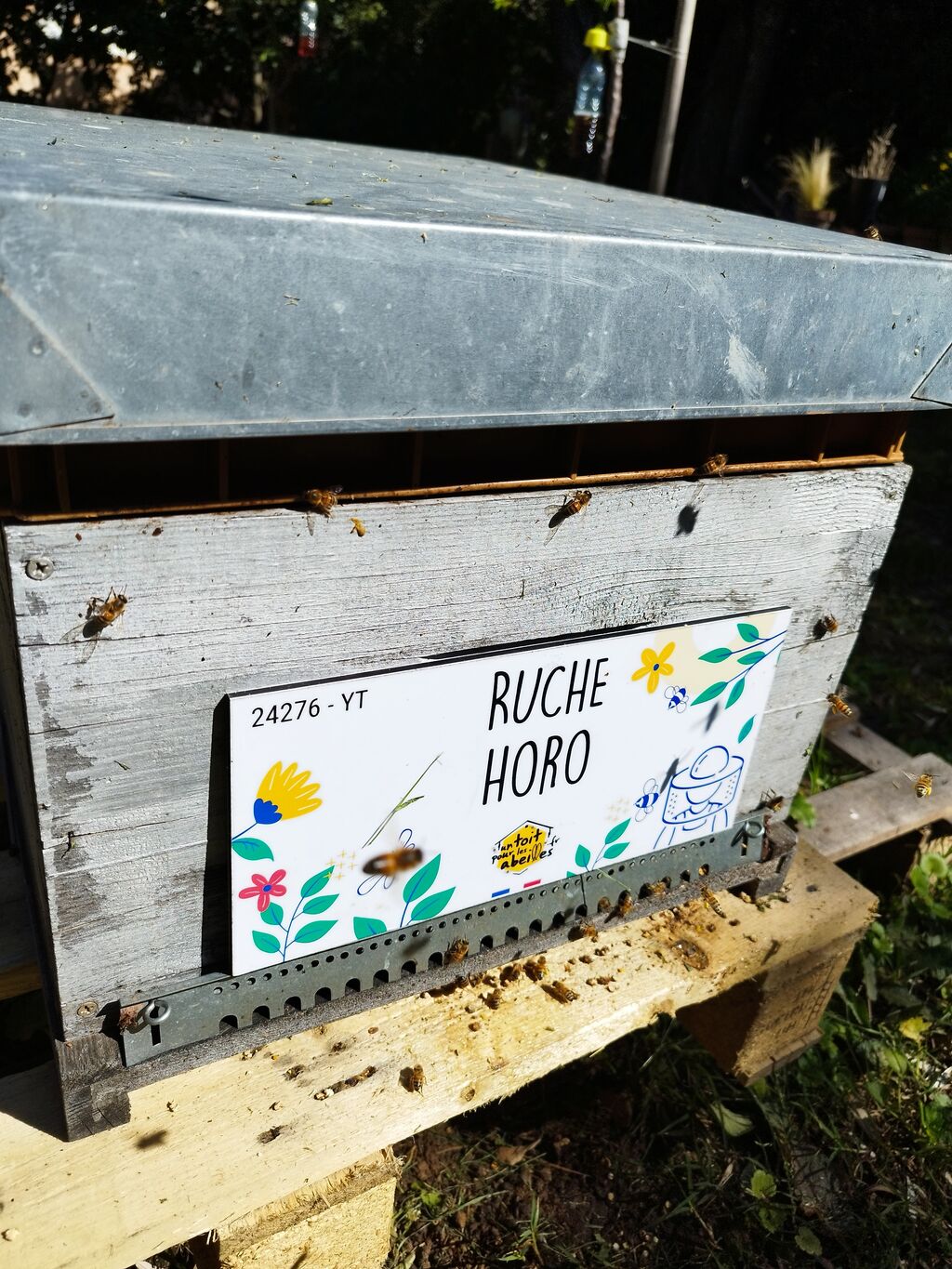 La ruche Horo