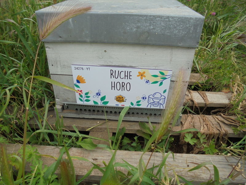 La ruche Horo