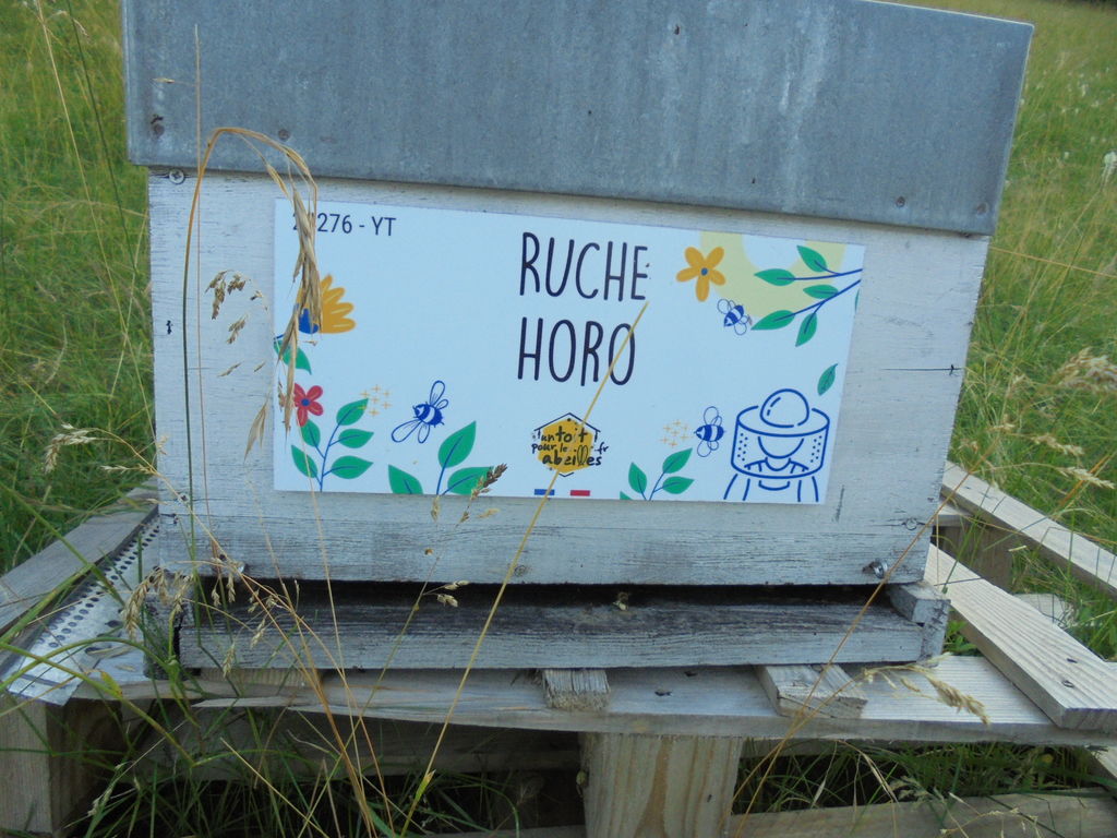 La ruche Horo