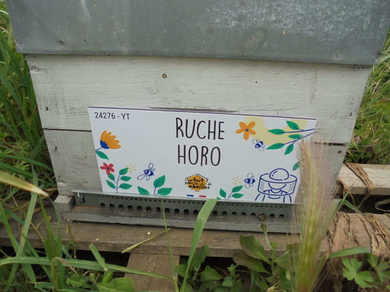 La ruche Horo