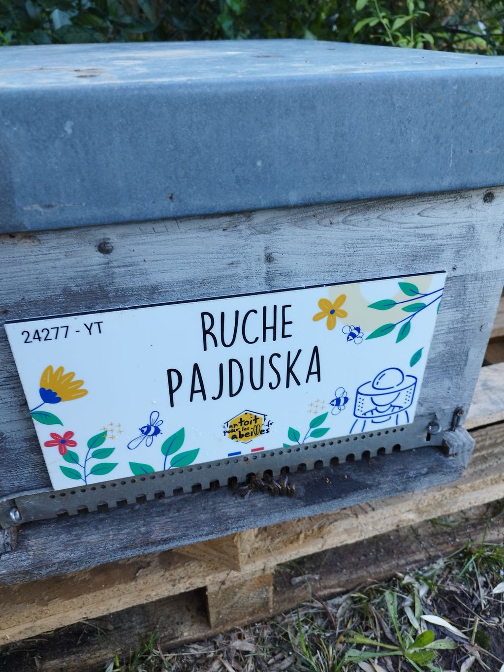 La ruche Pajduska
